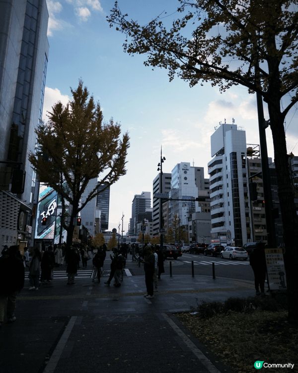 拍攝於12月的大阪和神戶。晚上是每年冬天必看的「大阪・光之饗...