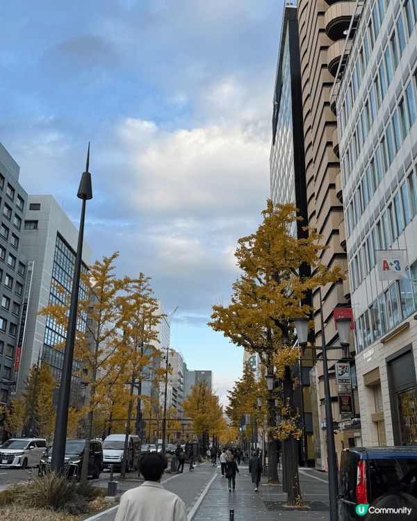 拍攝於12月的大阪和神戶。晚上是每年冬天必看的「大阪・光之饗...