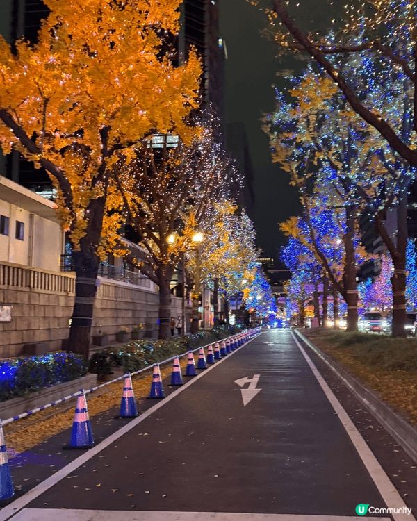 拍攝於12月的大阪和神戶。晚上是每年冬天必看的「大阪・光之饗...