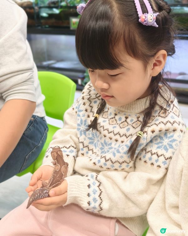 親子共學，異寵體驗💕