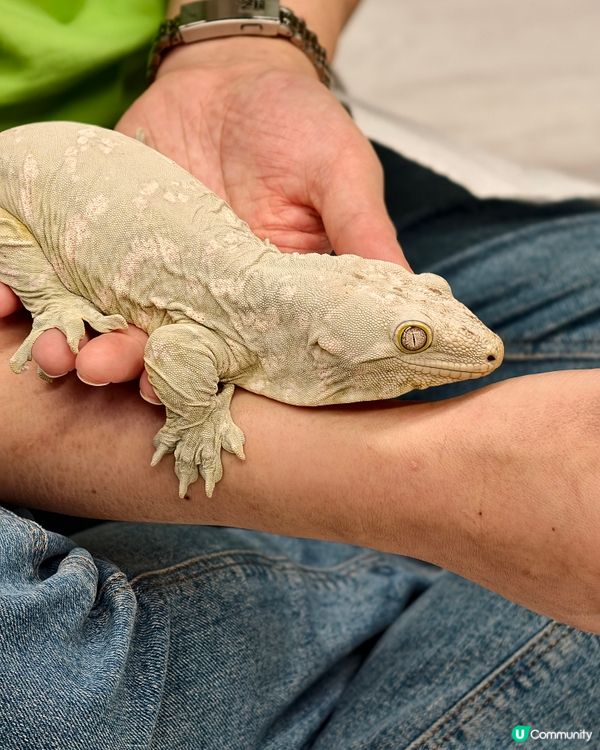 親子共學，異寵體驗💕