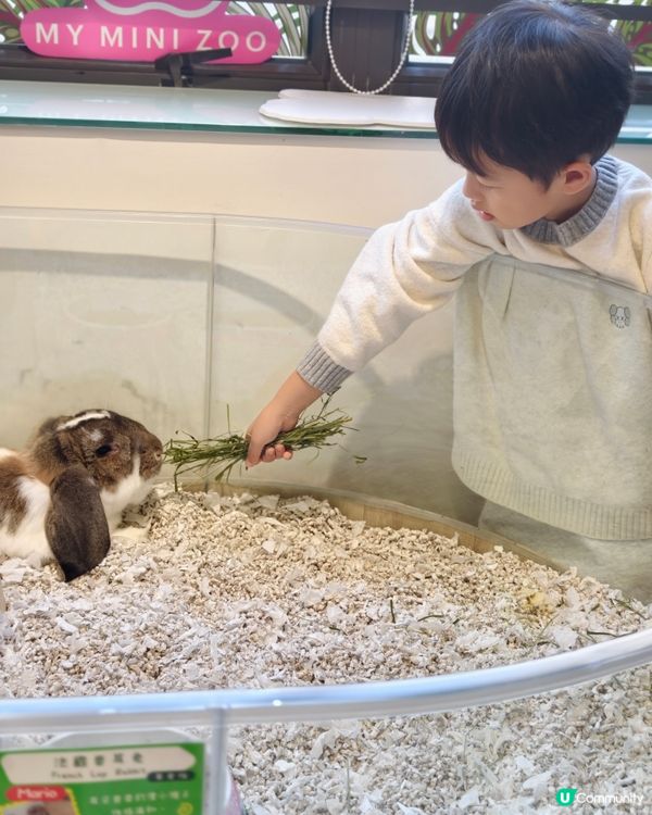 親子共學，異寵體驗💕