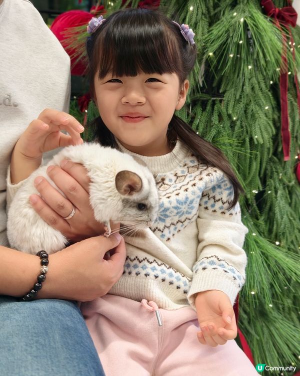 親子共學，異寵體驗💕