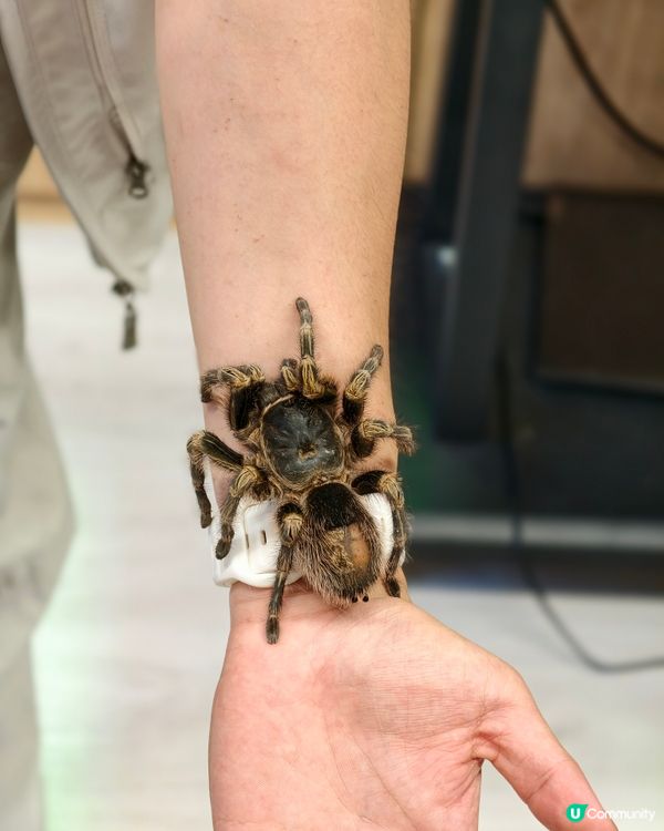 親子共學，異寵體驗💕