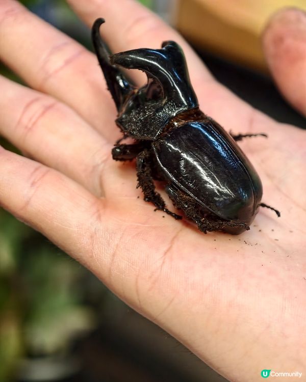 親子共學，異寵體驗💕