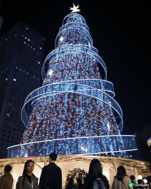 中環遮打花園20米聖誕樹，一定係全香港最高聖誕樹，夜晚仲有動...