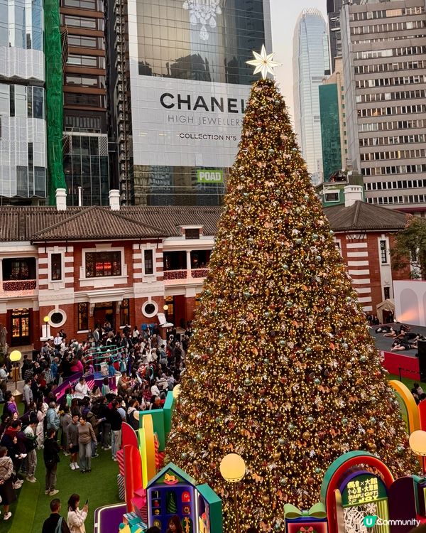 中環大館 聖誕樹