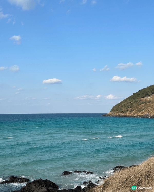 上面個海同炸醬麵海鮮麵都係係濟州海邊，上一個月帶左成班屋企人...