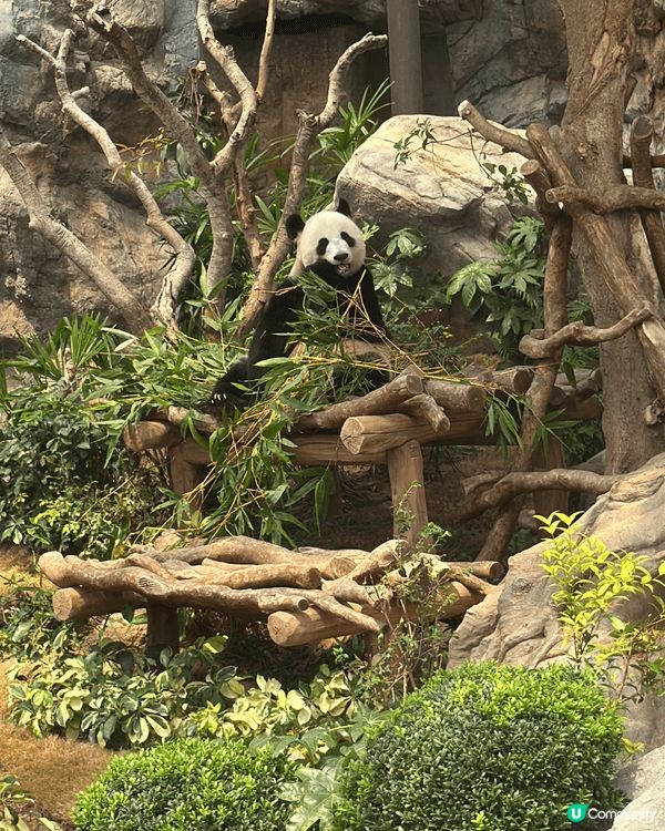 海洋公園