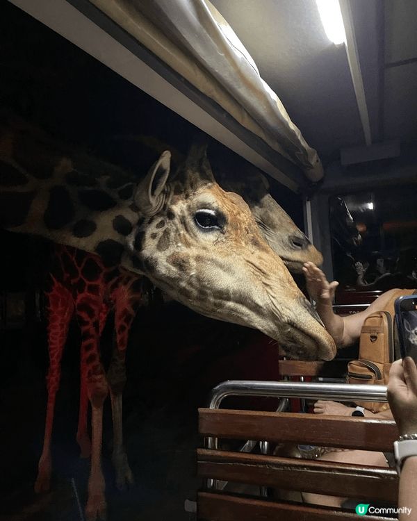清邁天燈節真係一生人必去一次的地方，當身邊所有人一齊升起天燈...