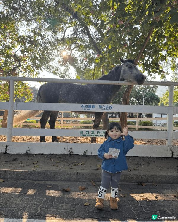 同小朋友去屯門馬術學校 參觀馬隻 了解牠們的生活習慣😬非常有...