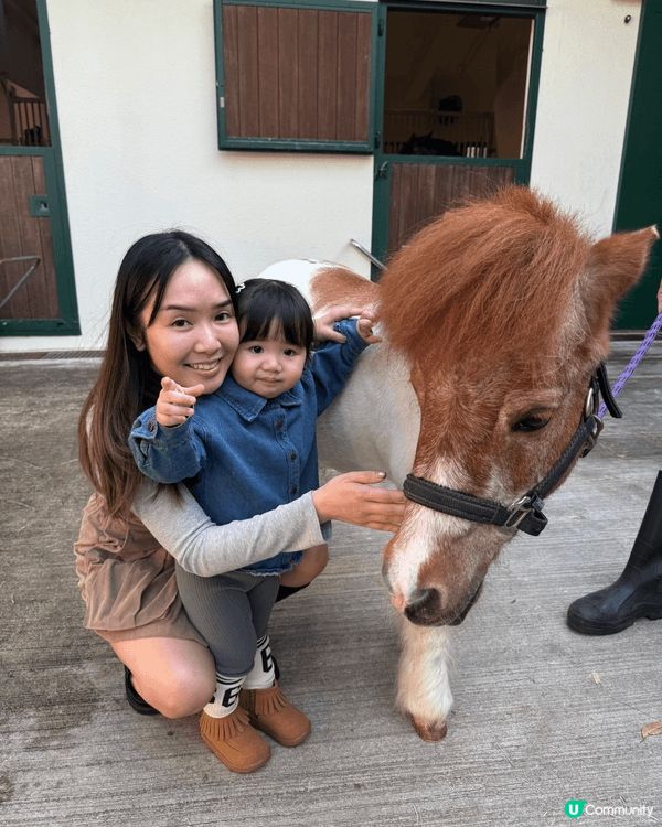 同小朋友去屯門馬術學校 參觀馬隻 了解牠們的生活習慣😬非常有...