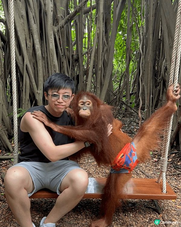 相片中是泰國動物園safari world