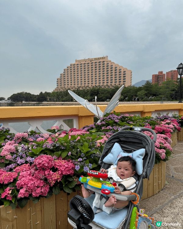喜歡大自然的可以去觀塘海濱公園，有舒服的環境；喜歡機動遊戲的...