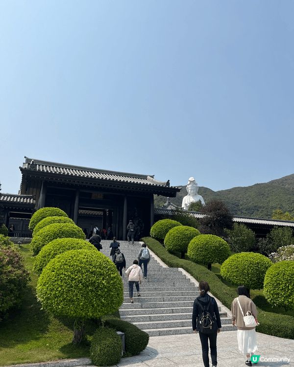 大埔慈山寺，遠離閙市的靜淨之地，有日式寺廟風格，給人一種乾淨...