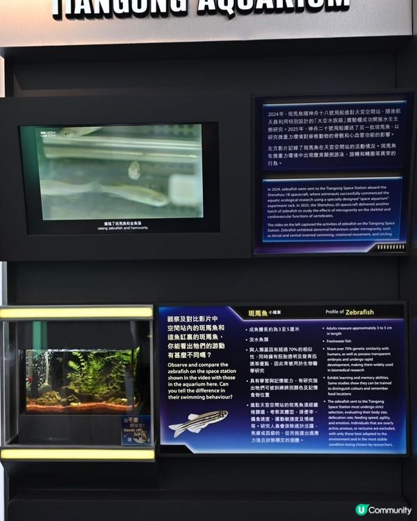 航向太空──中國載人航天之旅