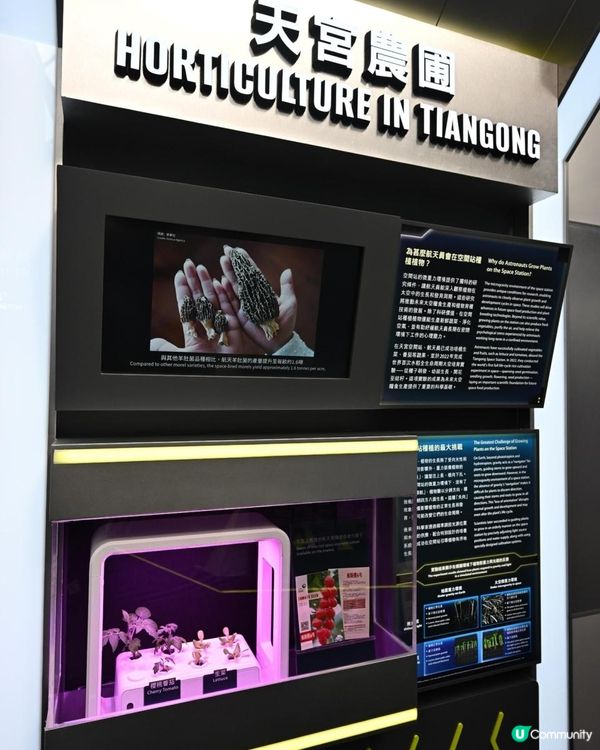 航向太空──中國載人航天之旅