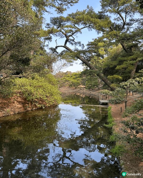 我想介紹日本高松的粟林公園，可以用風景如畫黎形容，靚到捨唔得...