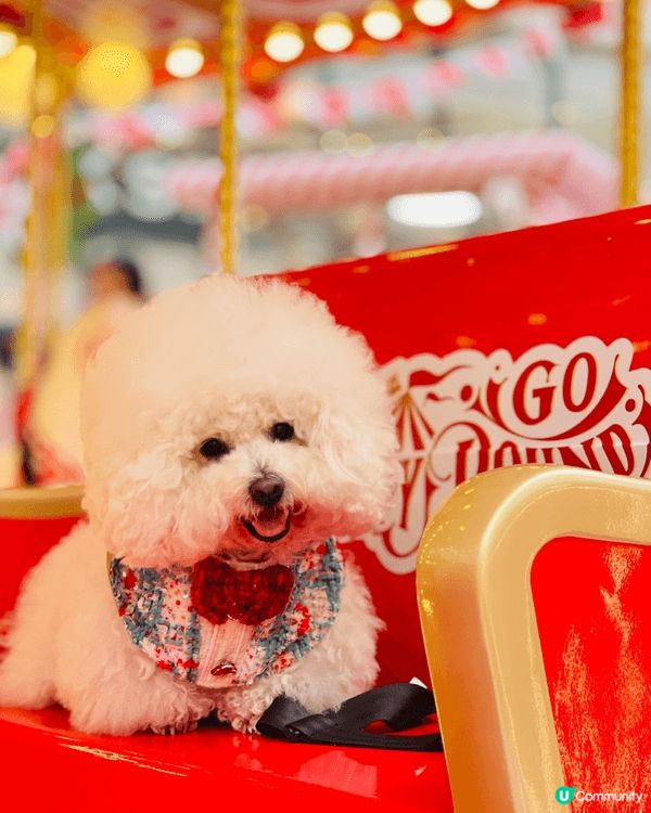 西沙go park 今年主題好有歐陸情，有一個大型嘅戶外旋轉...