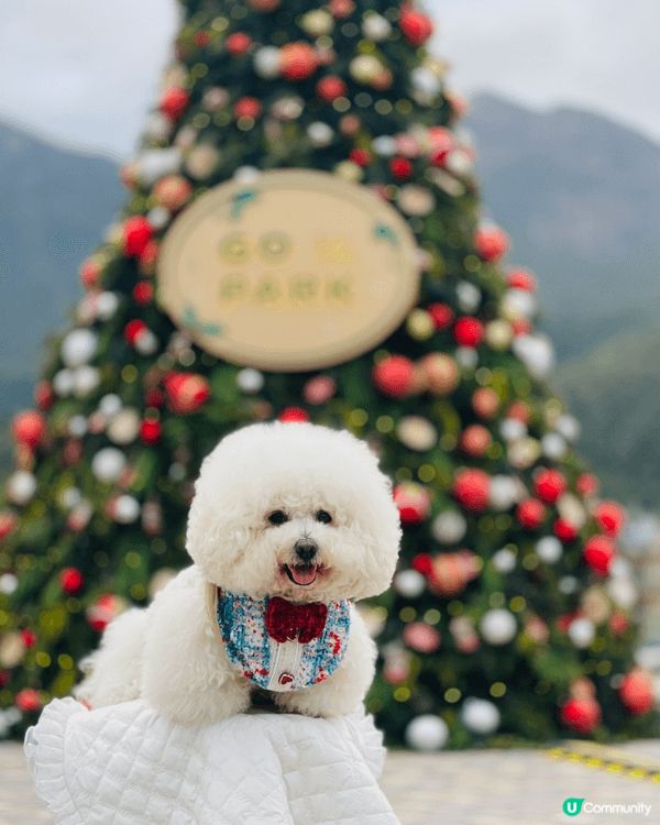 西沙go park 今年主題好有歐陸情，有一個大型嘅戶外旋轉...