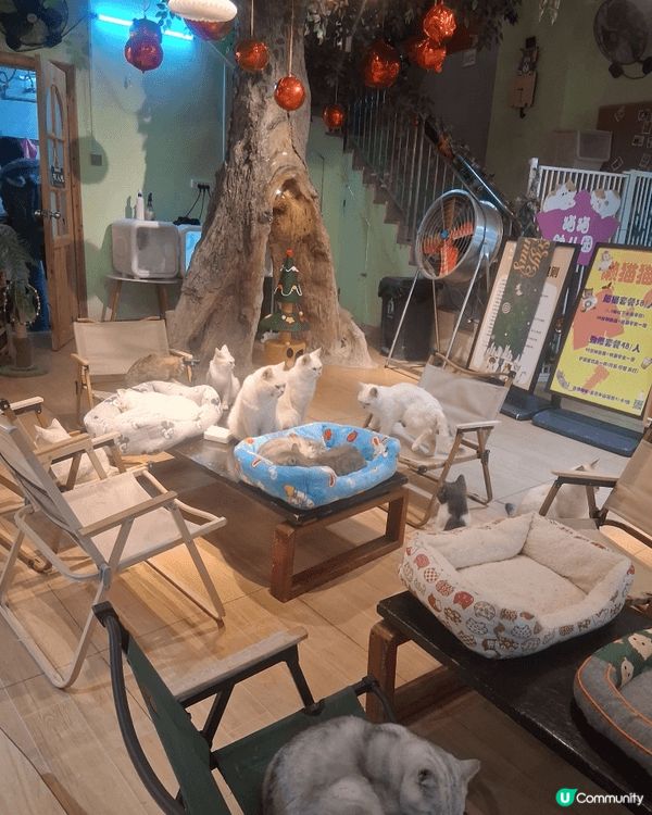 我認為本地大家好去處。去當日的想法親子去玩很開心。可以私心推...
