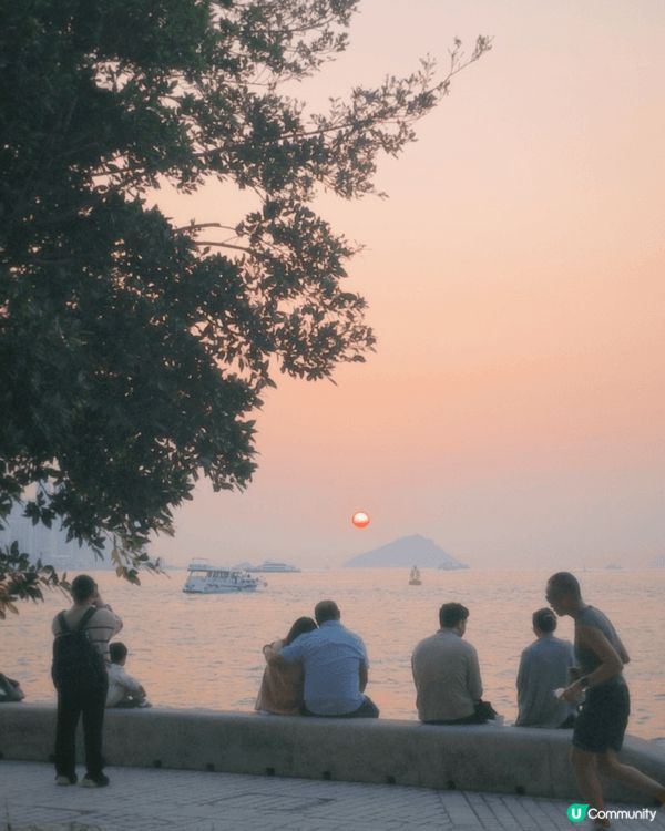 西九的日落景色壯麗，夕陽緩緩下沉，金色的光暈映照著水面，樹影...