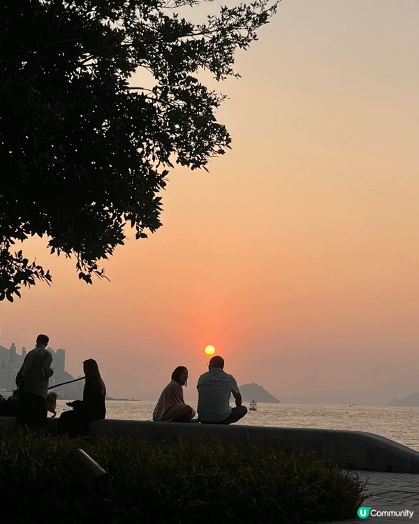 西九的日落景色壯麗，夕陽緩緩下沉，金色的光暈映照著水面，樹影...