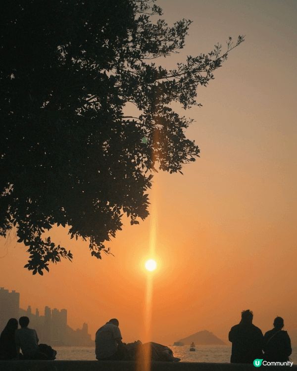 西九的日落景色壯麗，夕陽緩緩下沉，金色的光暈映照著水面，樹影...