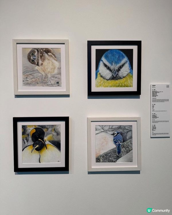 Stephy 鄧麗欣1️⃣首個🎨個人畫展