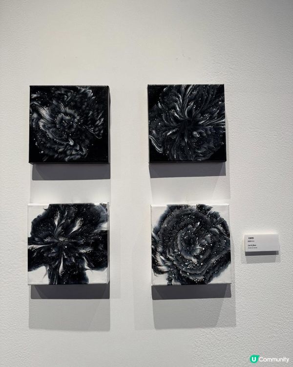 Stephy 鄧麗欣1️⃣首個🎨個人畫展