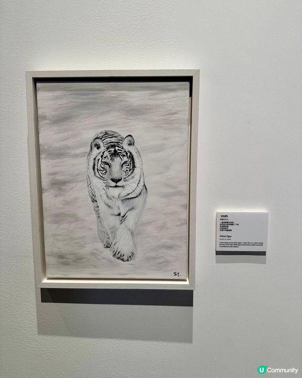 Stephy 鄧麗欣1️⃣首個🎨個人畫展