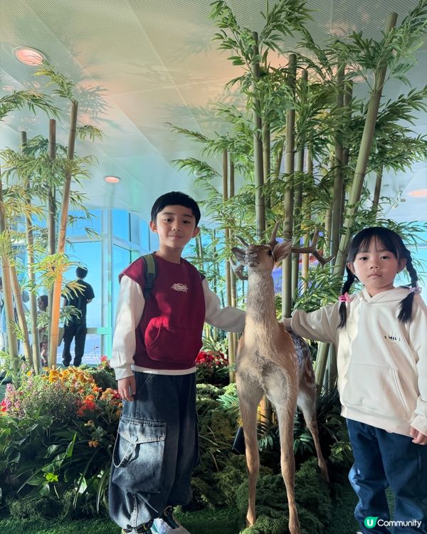台北101聖誕限定🎄！親子打卡📸必去！