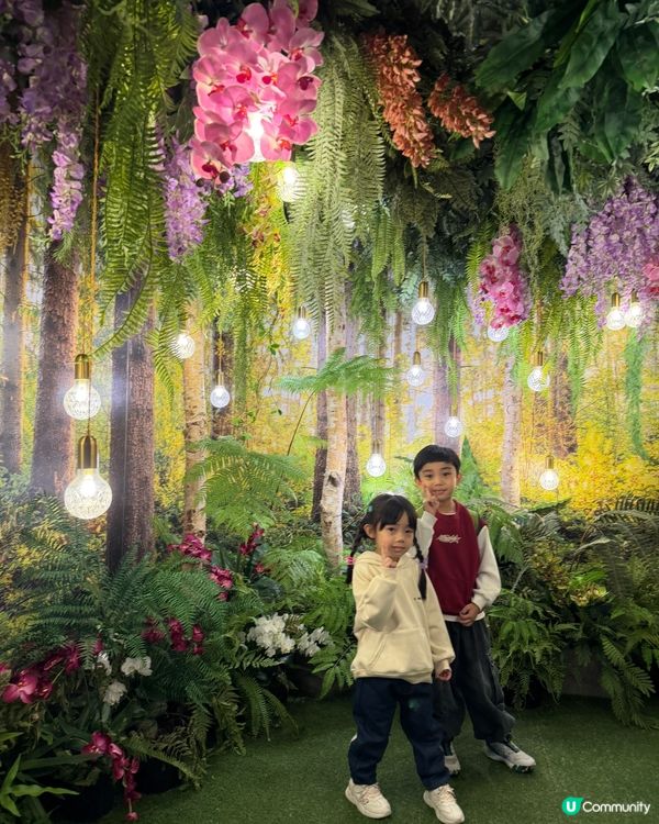 台北101聖誕限定🎄！親子打卡📸必去！