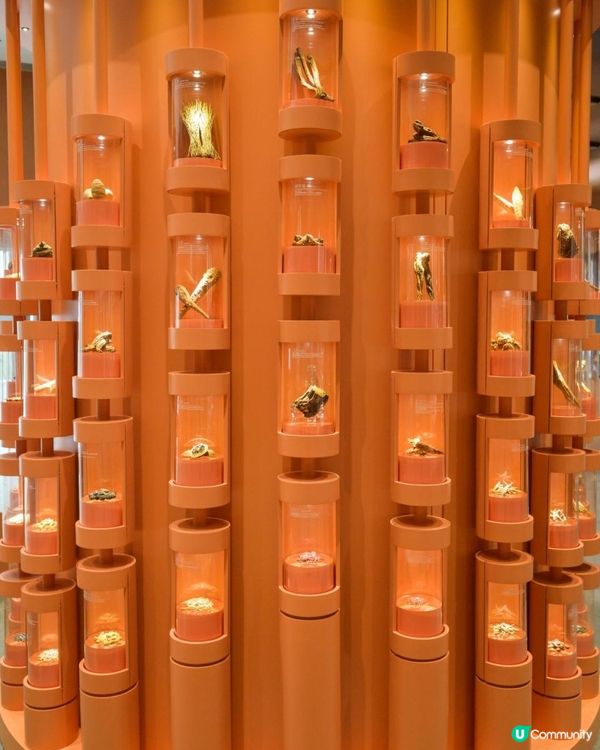 中藥標本館和藥用植物園供團體免費預約參觀