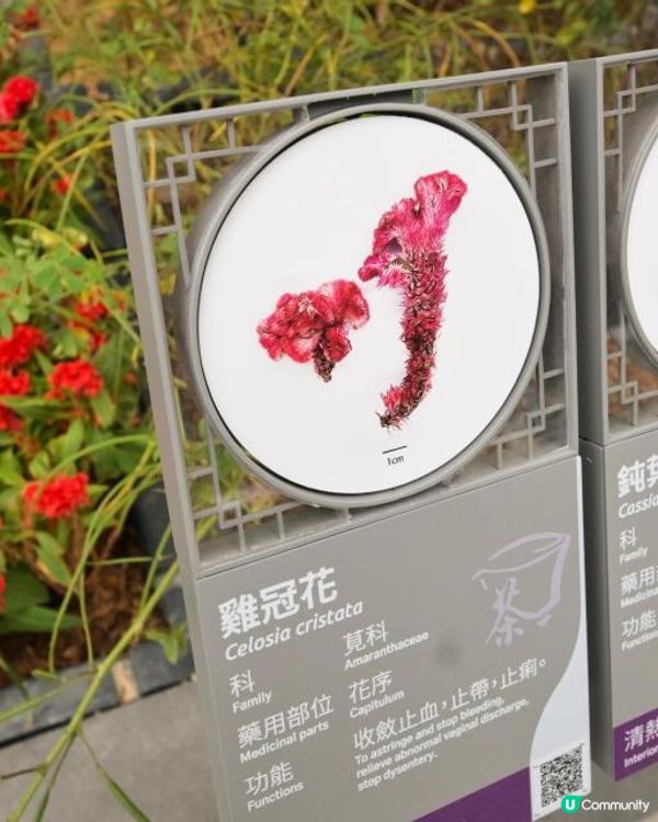 中藥標本館和藥用植物園供團體免費預約參觀