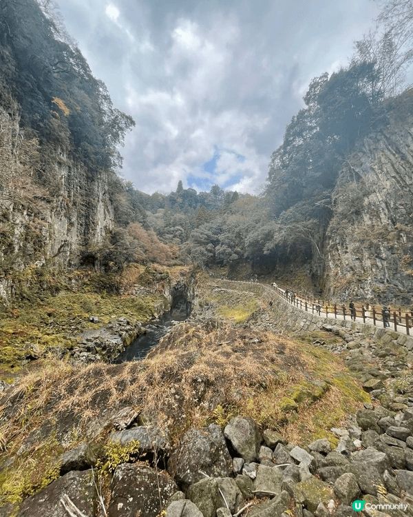 秋季楓紅 , 近距離欣賞真名井瀑布與峽谷壯麗景致, 集結了瀑...