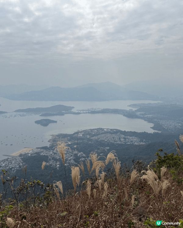 秋冬八仙嶺一日遊，於大尾篤Tamora早餐後出發，沿衛奕信徑...