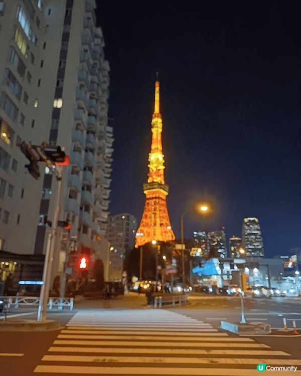 浪費好去處，聖誕東京夜景打卡。