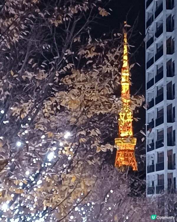 浪費好去處，聖誕東京夜景打卡。