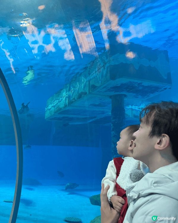 香港海洋公園位於香港島南部，集動物展覽、水族館及刺激機動遊戲...