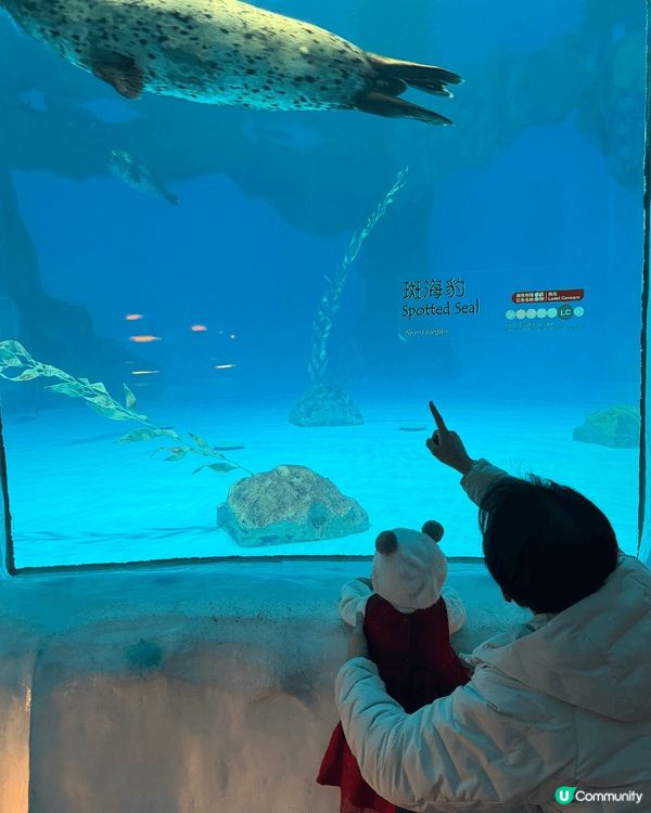 香港海洋公園位於香港島南部，集動物展覽、水族館及刺激機動遊戲...