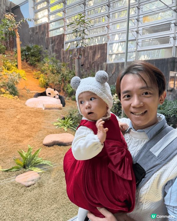 香港海洋公園位於香港島南部，集動物展覽、水族館及刺激機動遊戲...