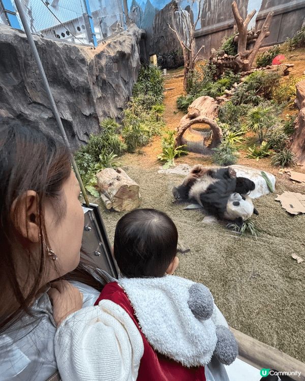 香港海洋公園位於香港島南部，集動物展覽、水族館及刺激機動遊戲...