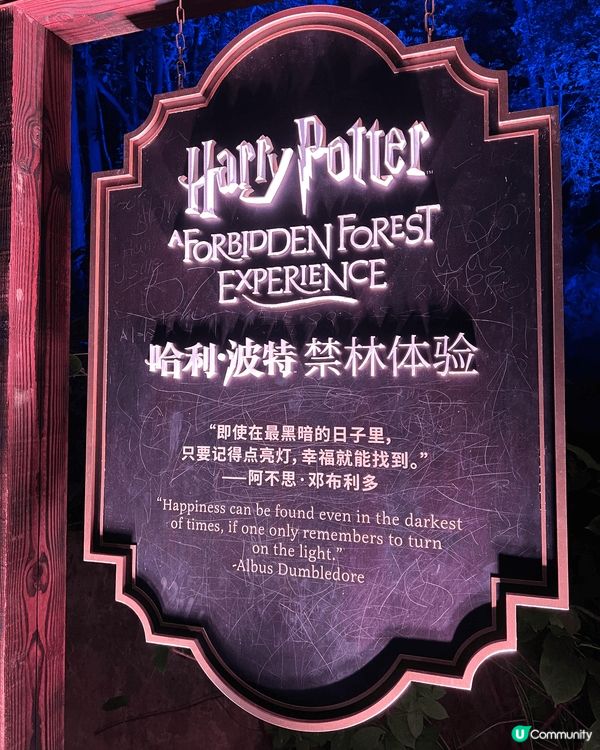 【沉浸式闖入魔法森林真係超爽✨】