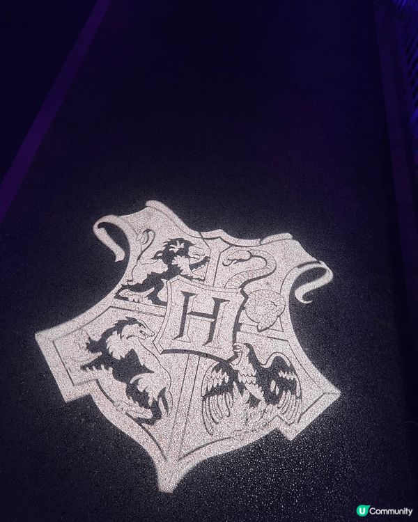 【沉浸式闖入魔法森林真係超爽✨】