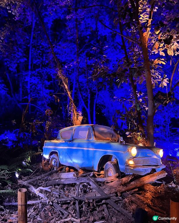 【沉浸式闖入魔法森林真係超爽✨】