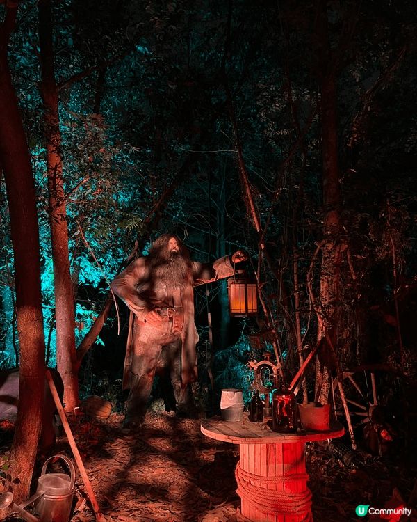 【沉浸式闖入魔法森林真係超爽✨】