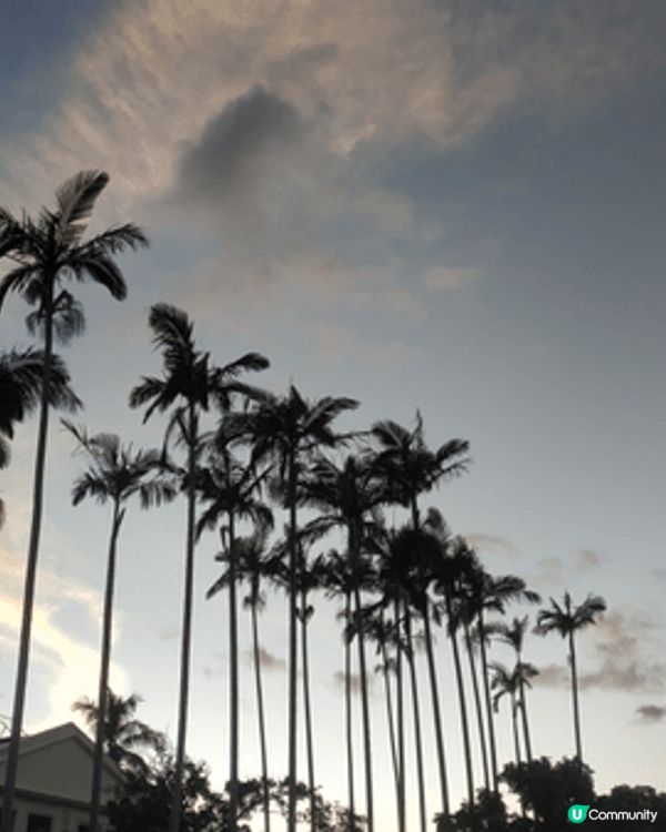 細心看看四周事物及風景，你也可發掘香港之美