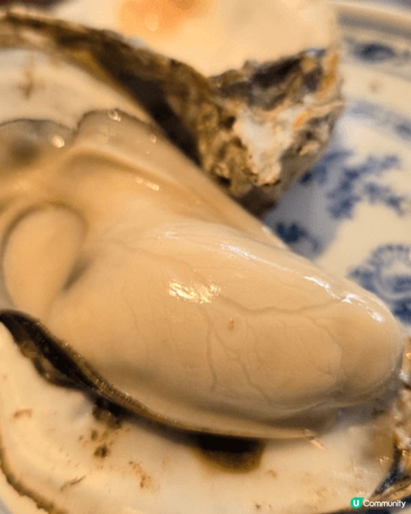 汕尾晨洲蠔，產自中國蠔鄉晨洲村，肥碩珠圓、酥甜鮮美，有「海底...