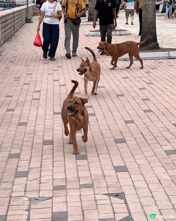 西貢 近近地 chill 一下